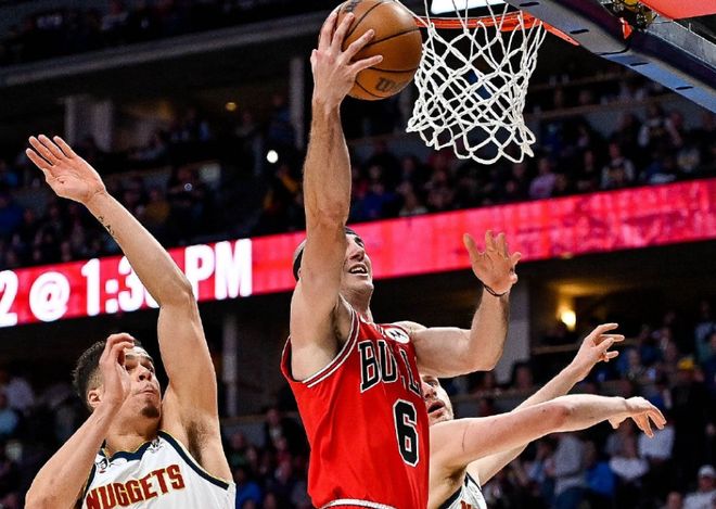 老鹰nba球员名单